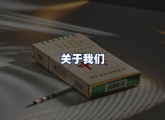 关于我们